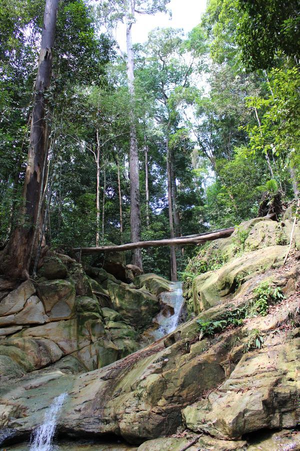 Nanga Damai Homestay Santubong Dış mekan fotoğraf